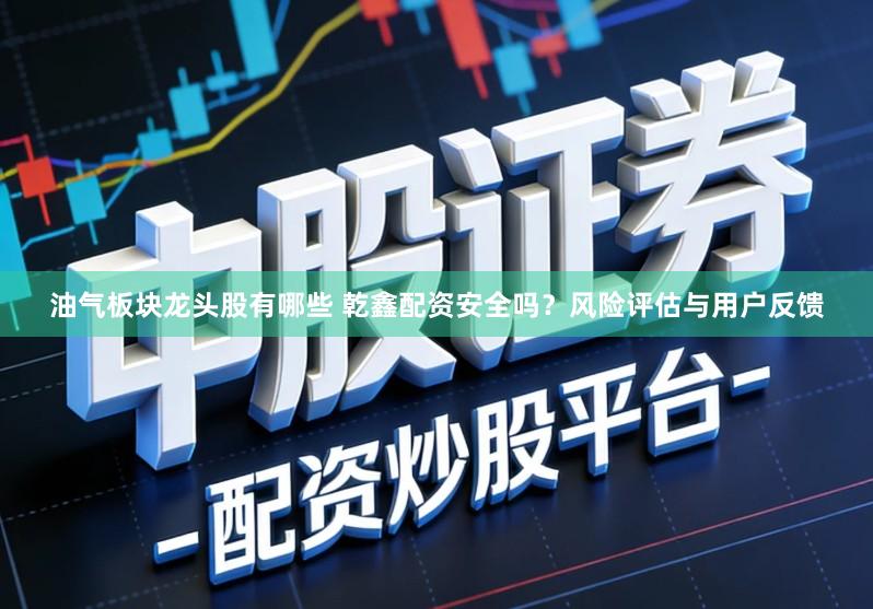 油气板块龙头股有哪些 乾鑫配资安全吗？风险评估与用户反馈