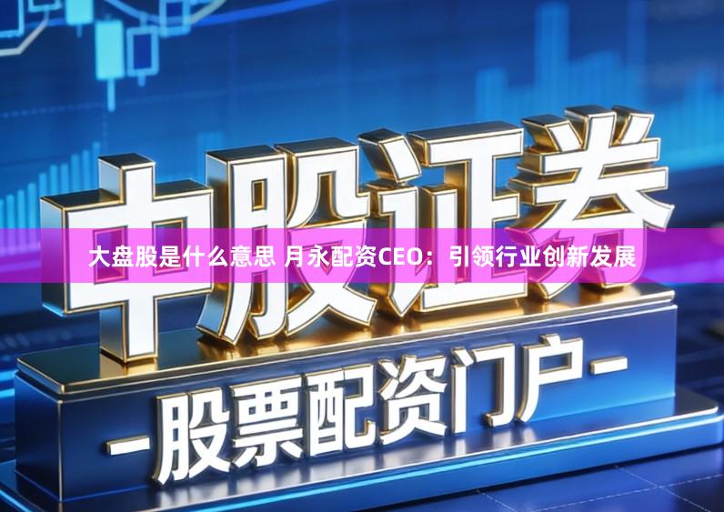 大盘股是什么意思 月永配资CEO：引领行业创新发展