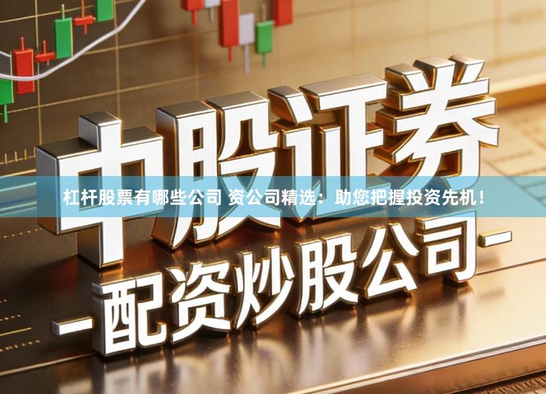 杠杆股票有哪些公司 资公司精选：助您把握投资先机！