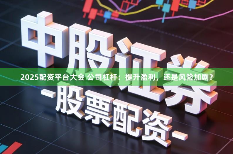 2025配资平台大会 公司杠杆：提升盈利，还是风险加剧？