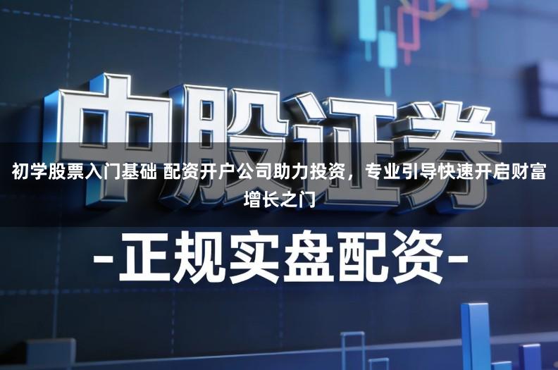 初学股票入门基础 配资开户公司助力投资，专业引导快速开启财富增长之门
