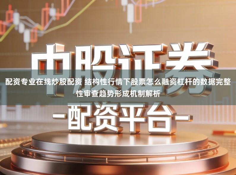 配资专业在线炒股配资 结构性行情下股票怎么融资杠杆的数据完整性审查趋势形成机制解析