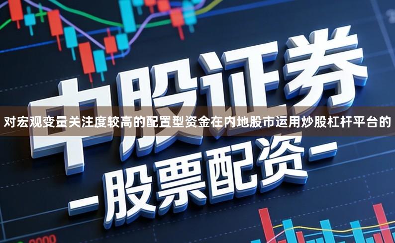 对宏观变量关注度较高的配置型资金在内地股市运用炒股杠杆平台的