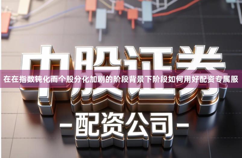 在在指数钝化而个股分化加剧的阶段背景下阶段如何用好配资专属服