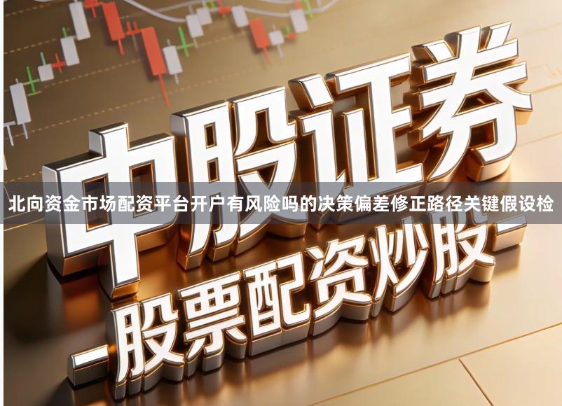 北向资金市场配资平台开户有风险吗的决策偏差修正路径关键假设检